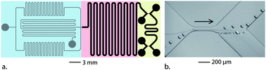 Graphical abstract: Microfluidic probing of the complex interfacial rheology of multilayer capsules