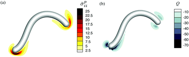 Graphical abstract: Three-dimensional simulations of undulatory and amoeboid swimmers in viscoelastic fluids