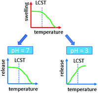 Graphical abstract: Drug release from thin films encapsulated by a temperature-responsive hydrogel