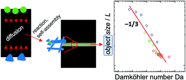 Graphical abstract: Control over the formation of supramolecular material objects using reaction–diffusion