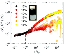 Graphical abstract: Shear melting and recovery of crosslinkable cellulose nanocrystal–polymer gels