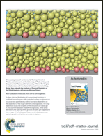 Graphical abstract: Back cover