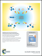 Graphical abstract: Back cover