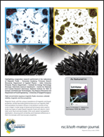 Graphical abstract: Inside back cover