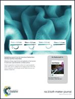 Graphical abstract: Back cover