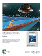 Graphical abstract: Back cover