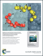 Graphical abstract: Back cover