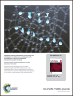 Graphical abstract: Back cover