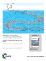 Graphical abstract: Back cover