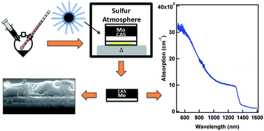 Graphical abstract: Multimodal characterization of solution-processed Cu3SbS4 absorbers for thin film solar cells