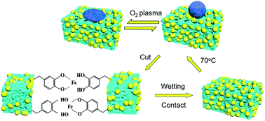 Graphical abstract: A superhydrophobic aerogel with robust self-healability