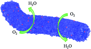 Graphical abstract: Structural engineering of robust titanium nitride as effective platinum support for the oxygen reduction reaction