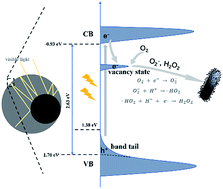 Graphical abstract: Facile synthesis of oxygen defective yolk–shell BiO2−x for visible-light-driven photocatalytic inactivation of Escherichia coli