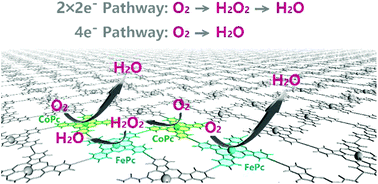 Graphical abstract: An ethynyl-linked Fe/Co heterometallic phthalocyanine conjugated polymer for the oxygen reduction reaction