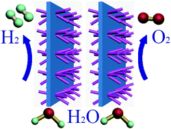 Graphical abstract: Self-supported NiMo-based nanowire arrays as bifunctional electrocatalysts for full water splitting