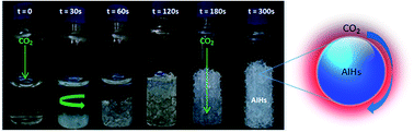 Graphical abstract: CO2 capture by amine infused hydrogels (AIHs)