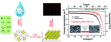 Graphical abstract: Suppressing defects through thiadiazole derivatives that modulate CH3NH3PbI3 crystal growth for highly stable perovskite solar cells under dark conditions