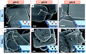 Graphical abstract: pH-Dependence in facet-selective photo-deposition of metals and metal oxides on semiconductor particles