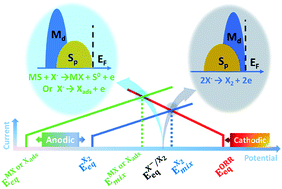 Graphical abstract: Descriptor of catalytic activity of metal sulfides for oxygen reduction reaction: a potential indicator for mineral flotation