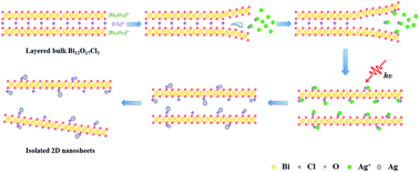 Graphical abstract: Ag-modified ultrathin Bi12O17Cl2 nanosheets: photo-assisted Ag exfoliation synthesis and enhanced photocatalytic performance