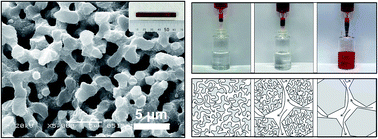 Graphical abstract: Iron(iii) oxyhydroxide and oxide monoliths with controlled multiscale porosity: synthesis and their adsorption performance