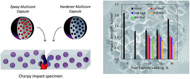 Graphical abstract: A novel repeated self-healing epoxy composite with alginate multicore microcapsules