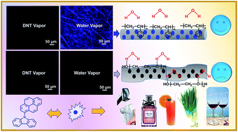 Graphical abstract: Electrospun fluorescent sensors for the selective detection of nitro explosive vapors and trace water