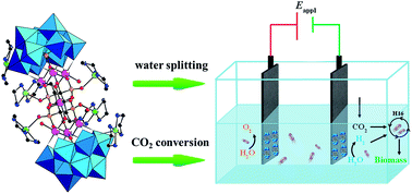 Graphical abstract: An overall water-splitting polyoxometalate catalyst for the electromicrobial conversion of CO2 in neutral water