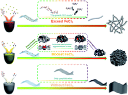 Graphical abstract: Carbon-based catalysts by structural manipulation with iron for oxygen reduction reaction