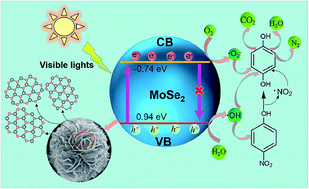 Graphical abstract: Controllable synthesis of flower-like MoSe2 3D microspheres for highly efficient visible-light photocatalytic degradation of nitro-aromatic explosives