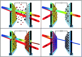 Graphical abstract: A dual band electrochromic device switchable across four distinct optical modes