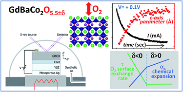 Graphical abstract: An in operando study of chemical expansion and oxygen surface exchange rates in epitaxial GdBaCo2O5.5 electrodes in a solid-state electrochemical cell by time-resolved X-ray diffraction