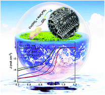 Graphical abstract: Efficient ORR electrocatalytic activity of peanut shell-based graphitic carbon microstructures