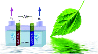 Graphical abstract: A 3D well-matched electrode pair of Ni–Co–S//Ni–Co–P nanoarrays grown on nickel foam as a high-performance electrocatalyst for water splitting