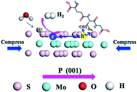 Graphical abstract: Enhanced H2 evolution based on ultrasound-assisted piezo-catalysis of modified MoS2