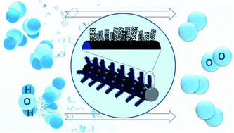 Graphical abstract: Co9S8@N,S-codoped carbon core–shell structured nanowires: constructing a fluffy surface for high-density active sites