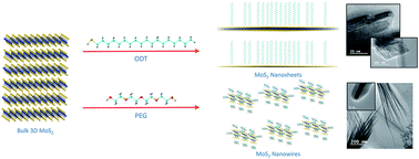 Graphical abstract: MoS2 nanosheets vs. nanowires: preparation and a theoretical study of highly stable and efficient nanofluids for concentrating solar power