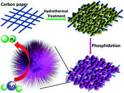 Graphical abstract: Cobalt phosphosulfide in the tetragonal phase: a highly active and durable catalyst for the hydrogen evolution reaction