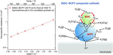 Graphical abstract: A new oxygen reduction electrocatalyst of barium lanthanide cobaltate for composite cathodes of proton-conducting ceramic fuel cells