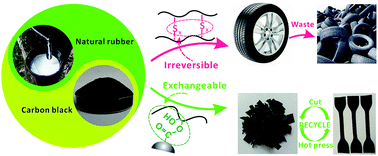 Graphical abstract: Sustainable, recyclable and robust elastomers enabled by exchangeable interfacial cross-linking