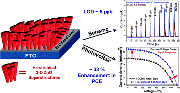 Graphical abstract: Multifunctional hierarchical 3-D ZnO superstructures directly grown over FTO glass substrates: enhanced photovoltaic and selective sensing applications
