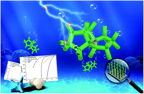Graphical abstract: Pt-like catalytic behavior of MoNi decorated CoMoO3 cuboid arrays for the hydrogen evolution reaction