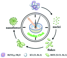 Graphical abstract: A novel solvent-free strategy for the synthesis of bismuth oxyhalides