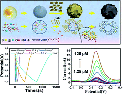 Graphical abstract: Egg albumen templated graphene foams for high-performance supercapacitor electrodes and electrochemical sensors