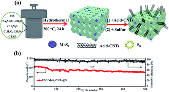Graphical abstract: Rational design of a multidimensional N-doped porous carbon/MoS2/CNT nano-architecture hybrid for high performance lithium–sulfur batteries