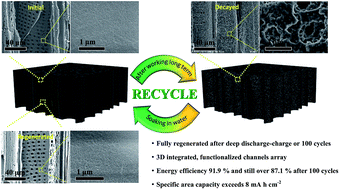 Graphical abstract: A renewable wood-derived cathode for Li–O2 batteries