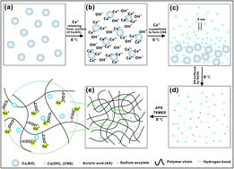 Graphical abstract: Super-adsorbent hydrogel for removal of methylene blue dye from aqueous solution