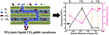 Graphical abstract: CO2-philic WS2 laminated membranes with a nanoconfined ionic liquid