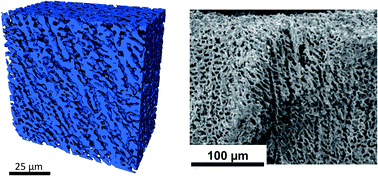 Graphical abstract: Coral-like directional porosity lithium ion battery cathodes by ice templating