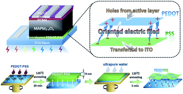 Graphical abstract: PEDOT:PSS monolayers to enhance the hole extraction and stability of perovskite solar cells